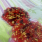 Red with gold flakes and rose petals Small Irregular Round Coasters - Set of 2