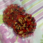 Red with gold flakes and rose petals Small Irregular Round Coasters - Set of 2