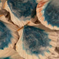 Natural Scallop Shell - Custom - EpoxyCore - [shop_type] 