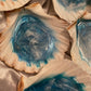 Natural Scallop Shell - Custom - EpoxyCore - [shop_type] 