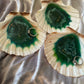 Natural Scallop Shell - Custom - EpoxyCore - [shop_type] 
