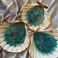 Natural Scallop Shell - Custom - EpoxyCore - [shop_type] 
