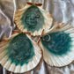 Natural Scallop Shell - Custom - EpoxyCore - [shop_type] 