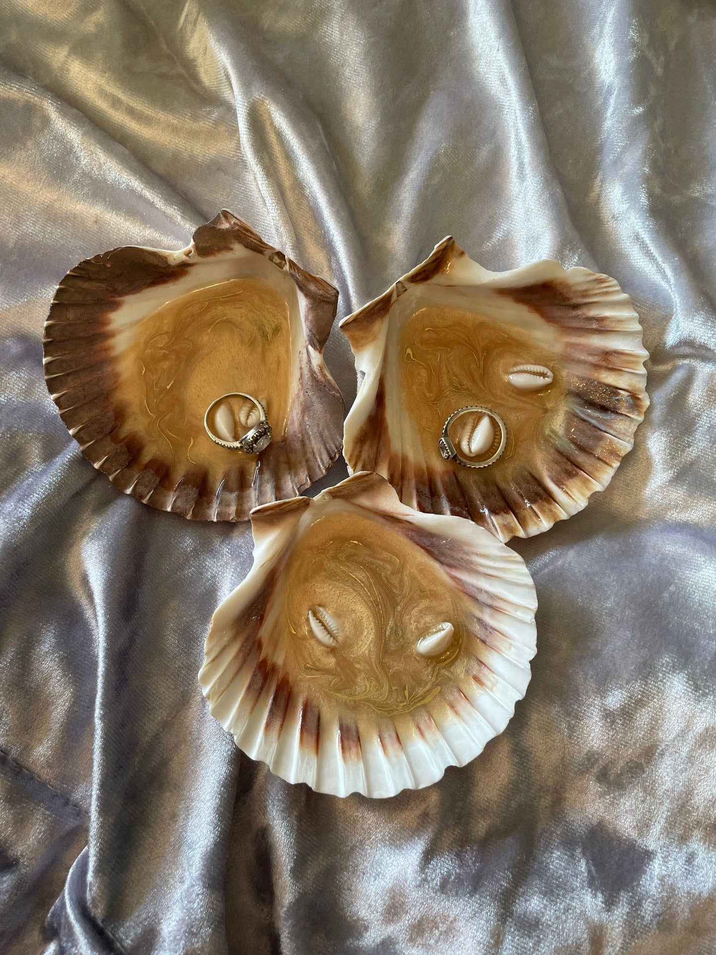 Natural Scallop Shell - Custom - EpoxyCore - [shop_type] 