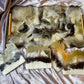 Large Rectangle Resin Tray + Coasters - Custom - EpoxyCore - [shop_type] 