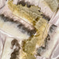 Rectangle Agate Slice Resin Coasters - Custom - EpoxyCore - [shop_type] 