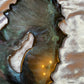 Iridescent Holographic Shades on Black Geode Resin Placemat - EpoxyCore - [shop_type] 
