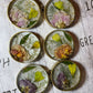Preserved Florals Round Resin Coasters - Custom - EpoxyCore - [shop_type] 